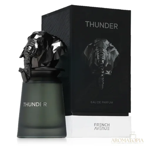 French Avenue Thunder — decant de 5 ml y 10 ml en Aromatopia